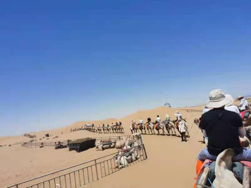 浙江新東陽(yáng)建設(shè)集團(tuán)有限公司